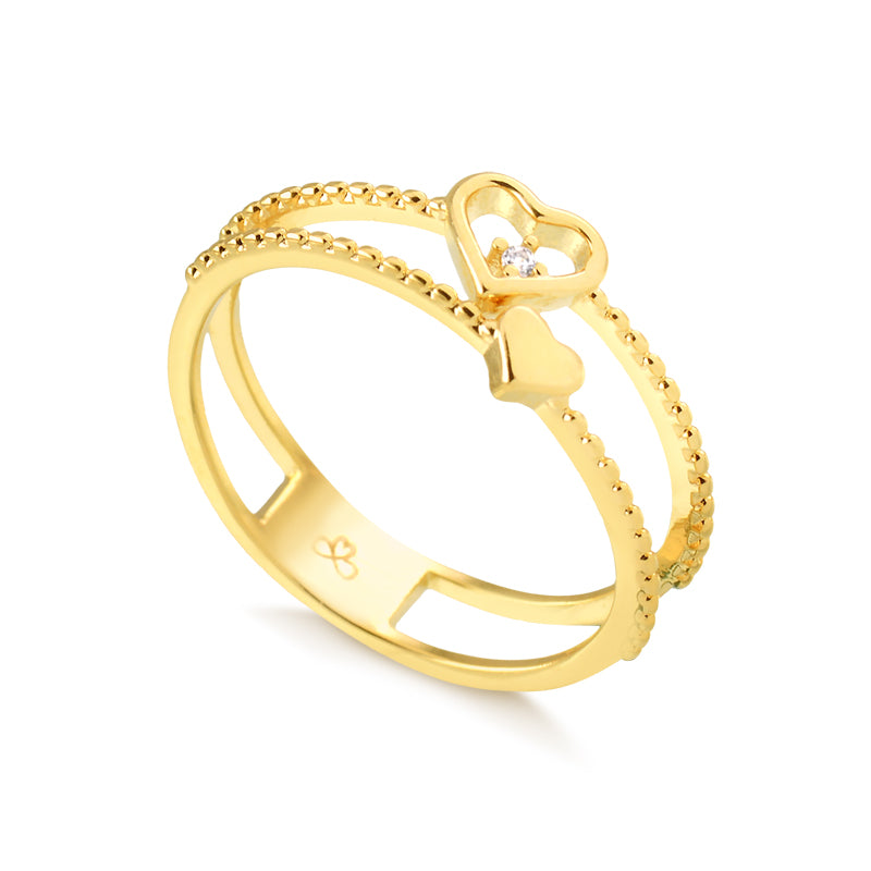 Anillo Doble