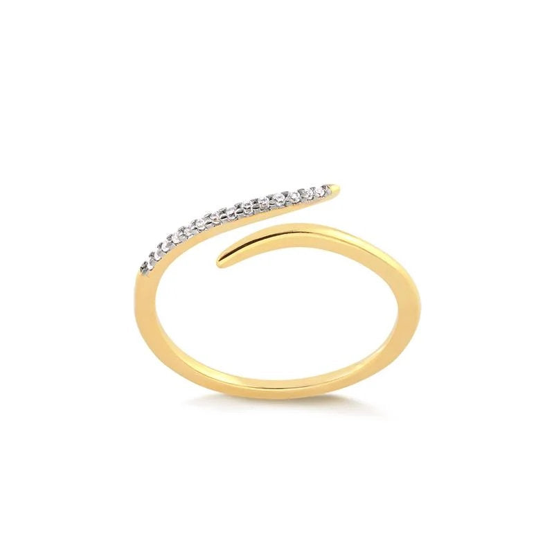 Anillo Regulable